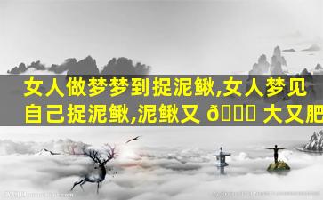 女人做梦梦到捉泥鳅,女人梦见自己捉泥鳅,泥鳅又 🐛 大又肥